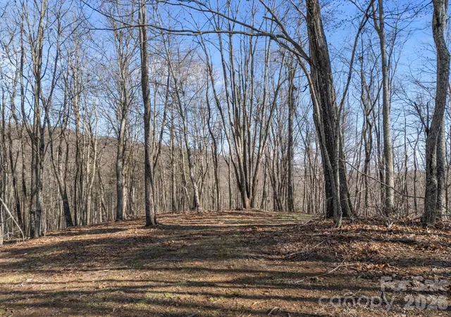 Homes for sale in Leicester, NC | 9999 Hidden Cove Rd, Leicester, NC 28748 | MLS# 4361367