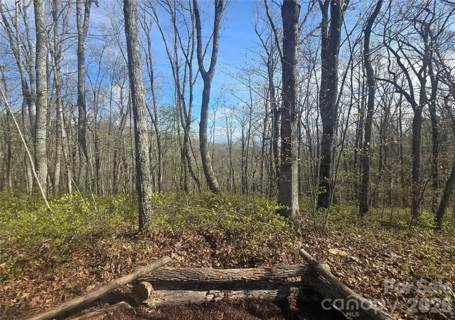 Photo 4 of Land for sale at Lot 85 Waterdance Dr, Tuckasegee, NC 28783 | MLS# 4361391 | Listing updated on 2026-03-25