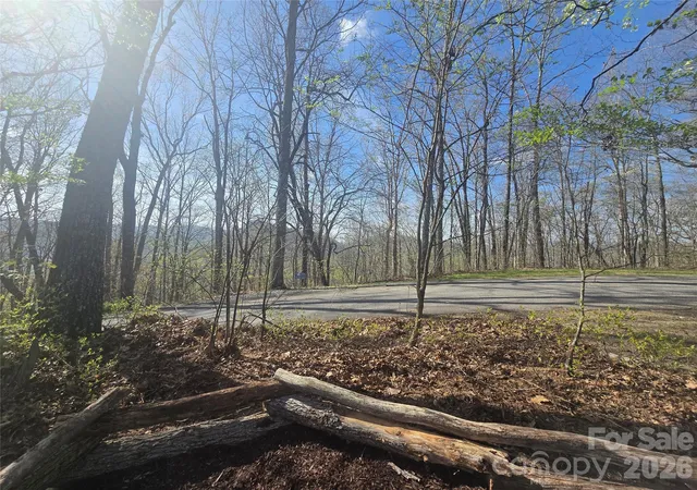 Photo 5 of Land for sale at Lot 85 Waterdance Dr, Tuckasegee, NC 28783 | MLS# 4361391 | Listing updated on 2026-03-25