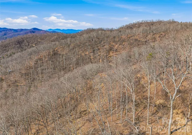 46th image of 182 Whittemore Branch Rd, Barnardsville, NC 28709 | MLS# 4361564