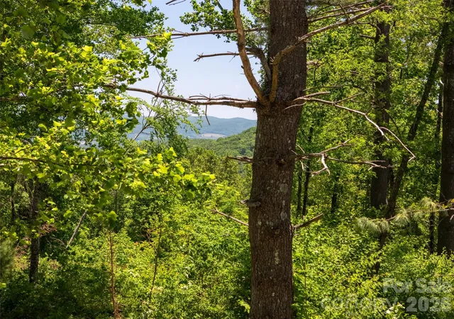 Photo 3 of Land for sale at 189 Dancing Bear Dr, Hendersonville, NC 28792 | MLS# 4361620 | Listing updated on 2026-06-24