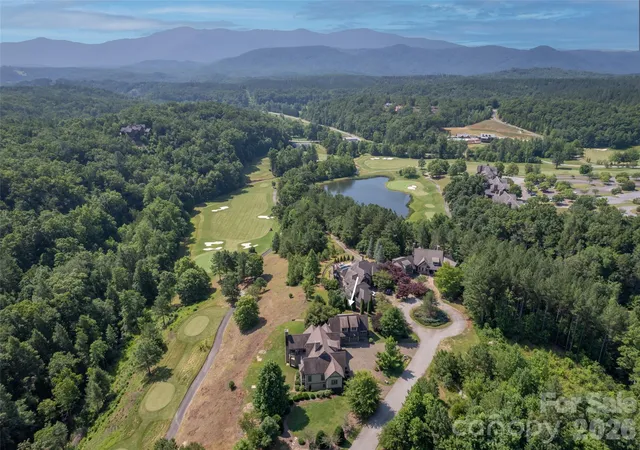 47th image of 565 Chestertown Dr, Mill Spring, NC 28756 | MLS# 4361743