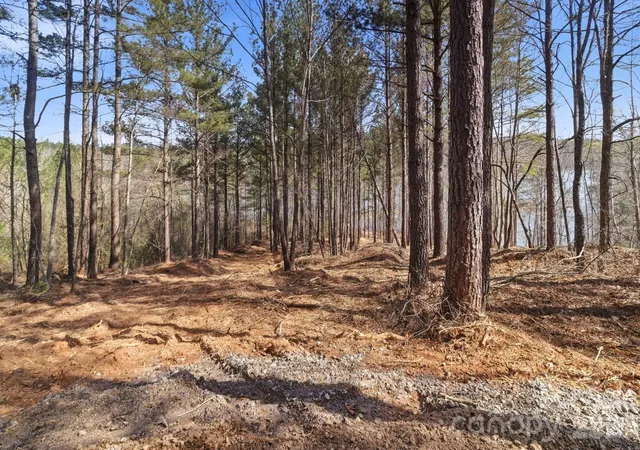 Photo 3 of Land for sale at 199 Table Rock Tr NW #130, Valdese, NC 28690 | MLS# 4361868 | Listing updated on 2026-09-25