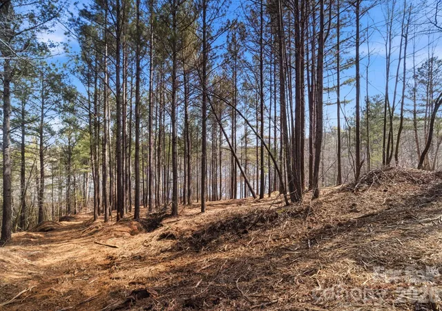 Photo 4 of Land for sale at 199 Table Rock Tr NW #130, Valdese, NC 28690 | MLS# 4361868 | Listing updated on 2026-09-25