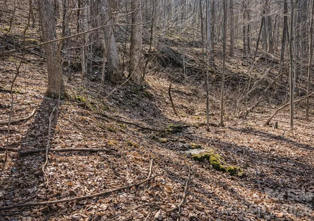 Photo 3 of Land for sale at 4 Buckeye Rd #63, Maggie Valley, NC 28751 | MLS# 4361902 | Listing updated on 2026-07-01