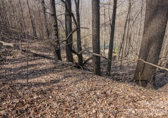Photo 3 of Land for sale at 4 Buckeye Rd #63, Maggie Valley, NC 28751 | MLS# 4361902 | Listing updated on 2026-07-01