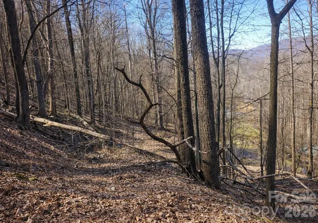 Photo 4 of Land for sale at 4 Buckeye Rd #63, Maggie Valley, NC 28751 | MLS# 4361902 | Listing updated on 2026-07-01