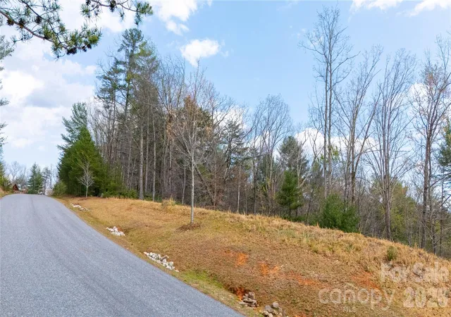 14th image of 0000 High Trail Dr, Nebo, NC 28761 | MLS# 4361931