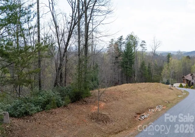 2nd image of 0000 High Trail Dr, Nebo, NC 28761 | MLS# 4361931