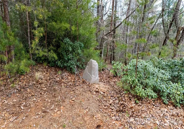 3rd image of 0000 High Trail Dr, Nebo, NC 28761 | MLS# 4361931