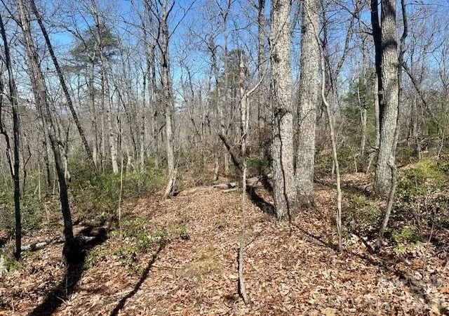 Photo 2 of Sale Pending at Tbd Connelly Springs Rd #5, Lenoir, NC 28645 | MLS# 4362008 | Listing updated on 2026-08-12