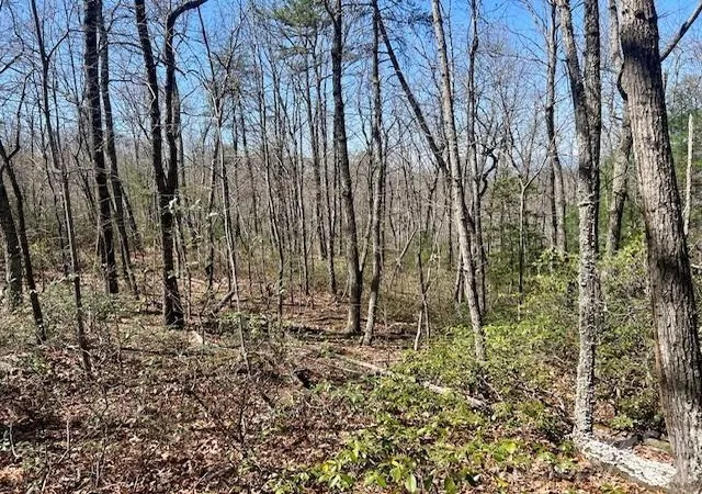 Photo 3 of Sale Pending at Tbd Connelly Springs Rd #5, Lenoir, NC 28645 | MLS# 4362008 | Listing updated on 2026-08-12