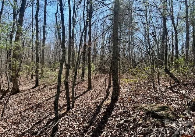 Photo 3 of Sale Pending at Tbd Connelly Springs Rd #5, Lenoir, NC 28645 | MLS# 4362008 | Listing updated on 2026-08-12