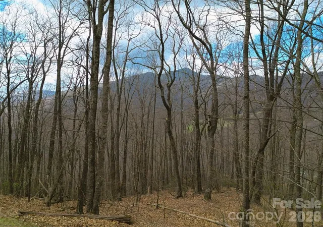 28th image of 0 Legend Rd #18, Waynesville, NC 28786 | MLS# 4362182