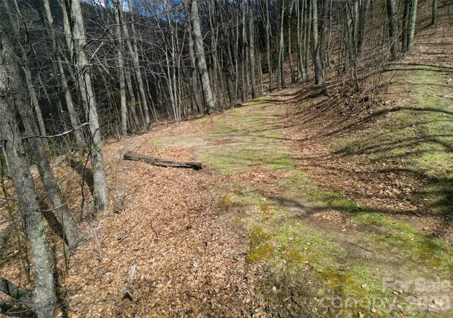 3rd image of 0 Legend Rd #18, Waynesville, NC 28786 | MLS# 4362182