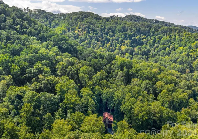 42nd image of 420 Chimney Rock Dr, Weaverville, NC 28787 | MLS# 4362209