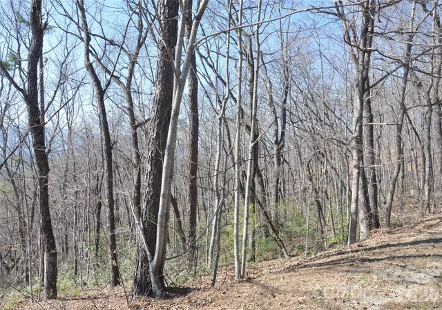 Photo 2 of Land for sale at Tbd Mountain Crst Dr S #41, Marion, NC 28752 | MLS# 4362396 | Listing updated on 2026-09-30
