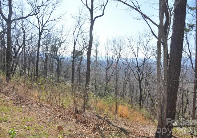 Photo 3 of Land for sale at Tbd Mountain Crst Dr S #41, Marion, NC 28752 | MLS# 4362396 | Listing updated on 2026-09-30