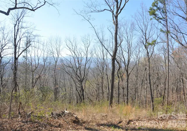 Photo 4 of Land for sale at Tbd Mountain Crst Dr S #41, Marion, NC 28752 | MLS# 4362396 | Listing updated on 2026-09-30