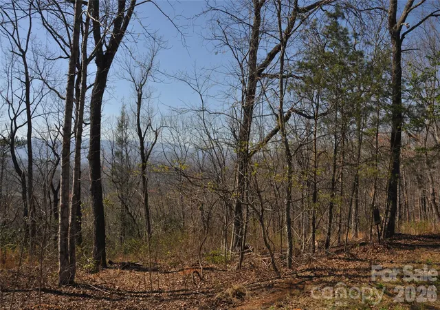 Photo 1 of Land for sale at Tbd Mountain Crst Dr S #41, Marion, NC 28752 | MLS# 4362396 | Listing updated on 2026-09-30