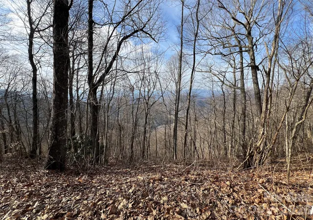 Homes for sale in Bryson City, NC | 24/26 Butterfly Path #24/26, Bryson City, NC 28713 | MLS# 4362565