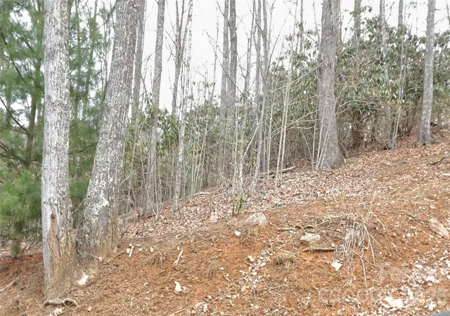 Land for sale at Tbd Vineyards Retreat Rd #14, Newland, NC 28657 | MLS# 4362735