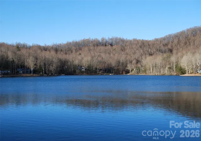 3rd image of 87 Pole Cat Rd, Saluda, NC 28773 | MLS# 4362803