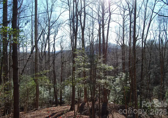 10th image of 87 Pole Cat Rd, Saluda, NC 28773 | MLS# 4362803