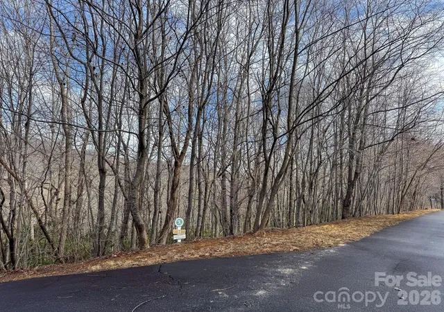 Homes for sale in Black Mountain, NC | 9999 Rainbow Falls Trl, Black Mountain, NC 28711 | MLS# 4362833