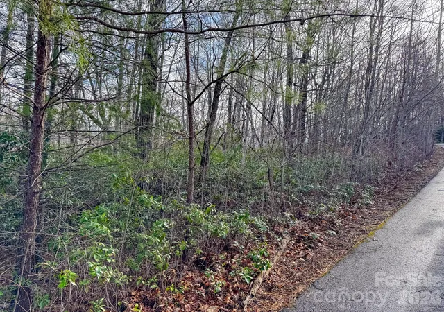 Photo 3 of Land for sale at 9999 Rainbow Fls Trl, Black Mountain, NC 28711 | MLS# 4362833 | Listing updated on 2026-10-01