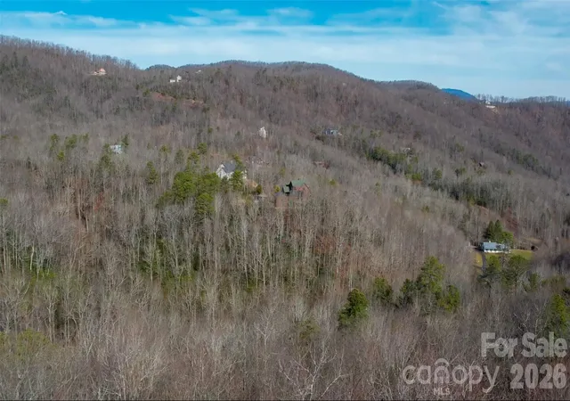 Homes for sale in Black Mountain, NC | 9999 Rainbow Falls Trl, Black Mountain, NC 28711 | MLS# 4362833