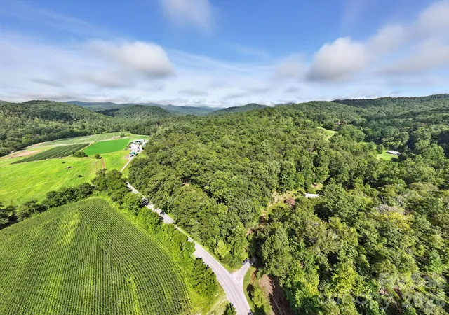 3rd image of 0000 Mullinax Cove Rd, Mills River, NC 28759 | MLS# 4362834