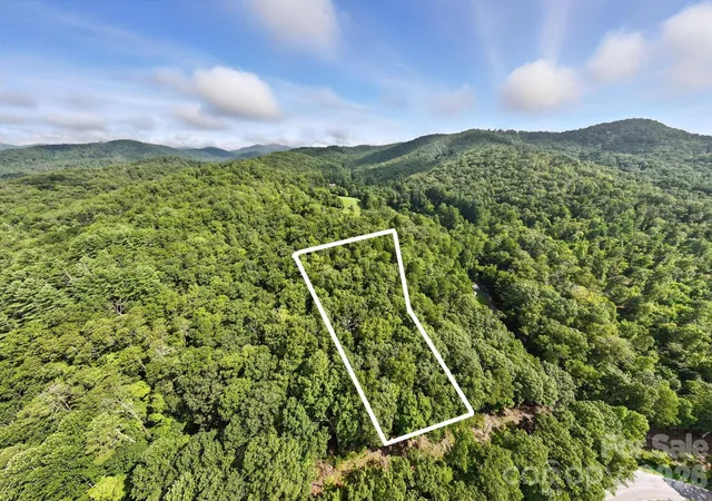 4th image of 0000 Mullinax Cove Rd, Mills River, NC 28759 | MLS# 4362834