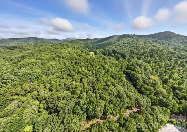 5th image of 0000 Mullinax Cove Rd, Mills River, NC 28759 | MLS# 4362834