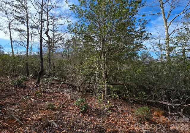 Homes for sale in Old Fort, NC | Lot 9 Kerlee Ln, Old Fort, NC 28762 | MLS# 4362984