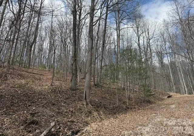 1st image of 158 Chattooga Run #402, Hendersonville, NC 28739 | MLS# 4363082
