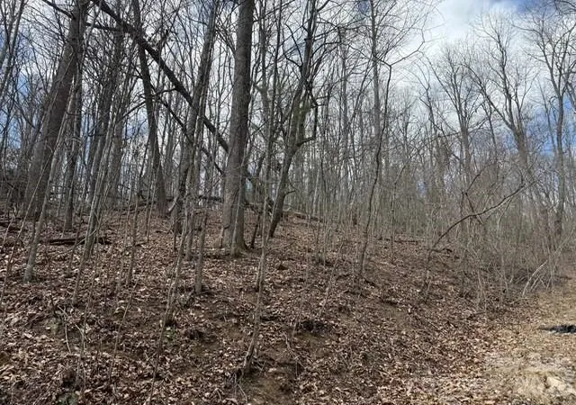2nd image of 158 Chattooga Run #402, Hendersonville, NC 28739 | MLS# 4363082