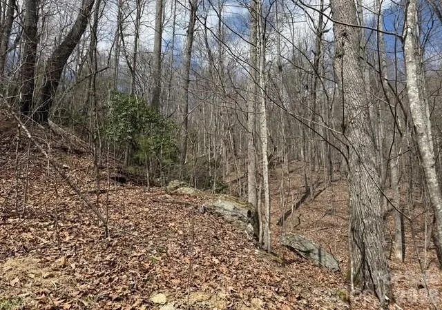 3rd image of 158 Chattooga Run #402, Hendersonville, NC 28739 | MLS# 4363082