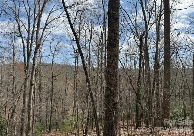 4th image of 158 Chattooga Run #402, Hendersonville, NC 28739 | MLS# 4363082