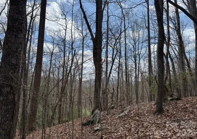5th image of 158 Chattooga Run #402, Hendersonville, NC 28739 | MLS# 4363082