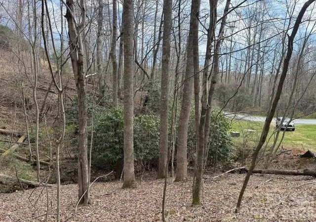 9th image of 158 Chattooga Run #402, Hendersonville, NC 28739 | MLS# 4363082