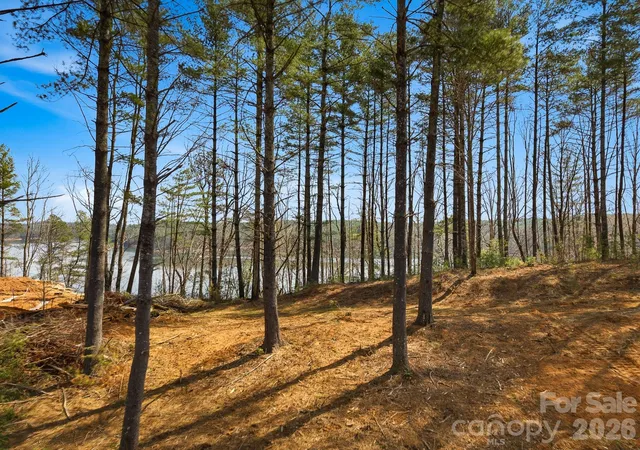 3rd image of 291 S Crest View St, Nebo, NC 28761 | MLS# 4363312