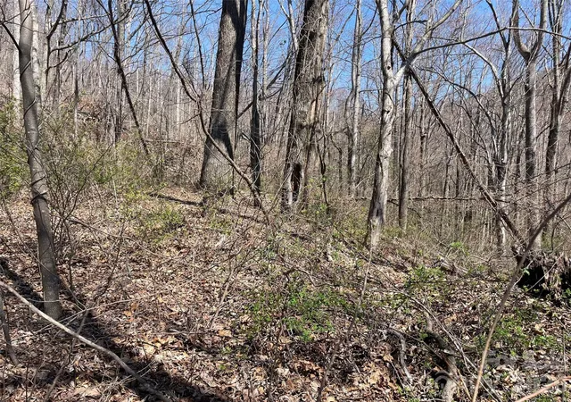 Photo 1 of Land for sale at 182 Old Mountain Pass, Hendersonville, NC 28792 | MLS# 4363326 | Listing updated on 2026-09-17