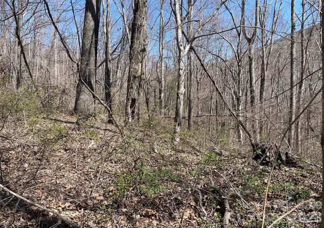 Photo 2 of Land for sale at 182 Old Mountain Pass, Hendersonville, NC 28792 | MLS# 4363326 | Listing updated on 2026-09-17