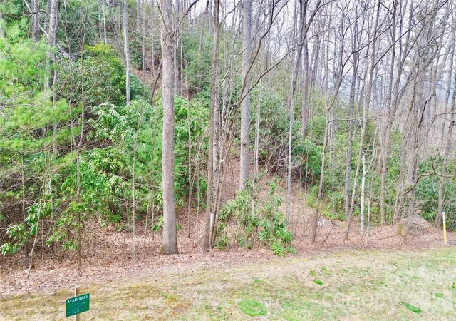 Photo 4 of Land for sale at 21 Settings Blvd #40, Black Mountain, NC 28711 | MLS# 4363392 | Listing updated on 2026-08-25