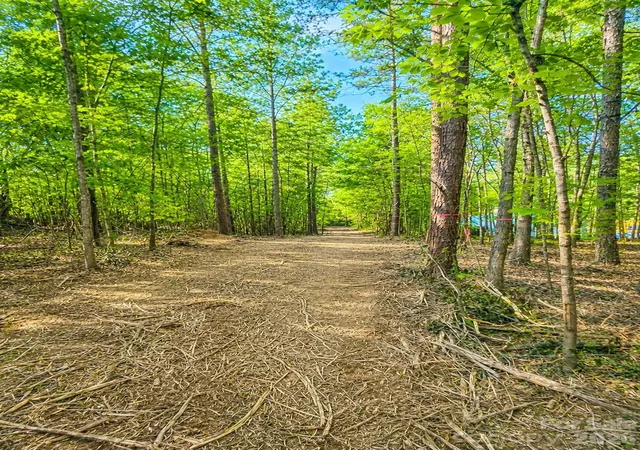2nd image of 0 Highway 73 #B, Albemarle, NC 28001 | MLS# 4363462
