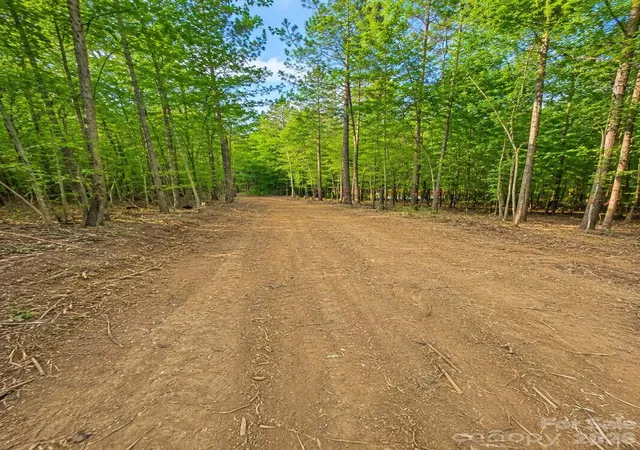 Photo 3 of Land for sale at 0 Highway 73 #B, Albemarle, NC 28001 | MLS# 4363462 | Listing updated on 2026-09-22