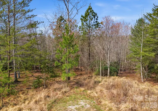 6th image of 184 Ridge Point Rd, Nebo, NC 28761 | MLS# 4363474