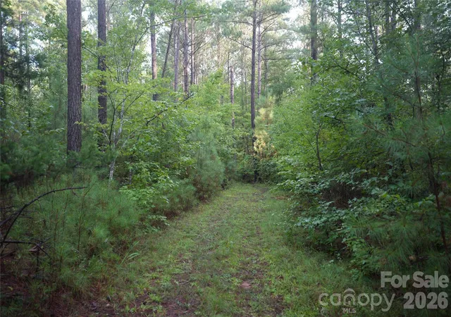 Photo 3 of Land for sale at 00 Bobby Faucette Rd #5, Jonesville, SC 29353 | MLS# 4363561 | Listing updated on 2026-08-18