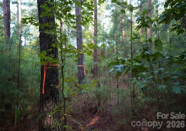 Photo 4 of Land for sale at 00 Bobby Faucette Rd #5, Jonesville, SC 29353 | MLS# 4363561 | Listing updated on 2026-08-18